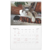 First Edition 2026 Calendar Kalender (Feb 2026)