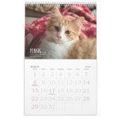 First Edition 2026 Calendar Kalender (Mar 2026)