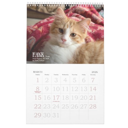 First Edition 2026 Calendar Kalender (Mar 2026)