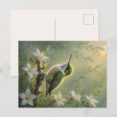 First Light Kin Hummingbird Postcard Briefkaart (Voorkant / Achterkant)