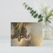 First Light Kin Otter Postcard – Gentle Joy Feestdagenkaart (Staand voorkant)