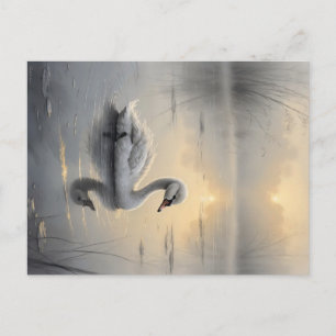 First Light Kin Swan Postcard Briefkaart