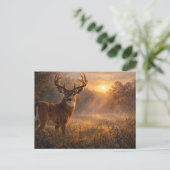 First Light | Whitetail Deer Art | Postcard Briefkaart (Staand voorkant)
