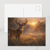 First Light | Whitetail Deer Art | Postcard Briefkaart (Voorkant / Achterkant)