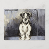 First Prize for Good Behaviour by Louis Wain Briefkaart (Voorkant)