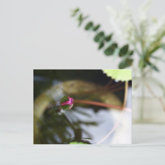 First Sight/Budding Lotus Briefkaart (Staand voorkant)