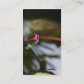 First Sight/Budding Lotus Visitekaartje (Achterkant)