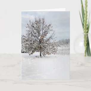 First Snow Blank Note Card Kaart