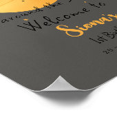 First Trip Around The Sun Paper Airplane Birthday Poster (Hoek)