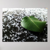 First Winter Weather Poster (Voorkant)