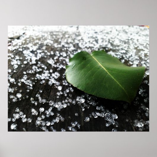 First Winter Weather Poster (Voorkant)