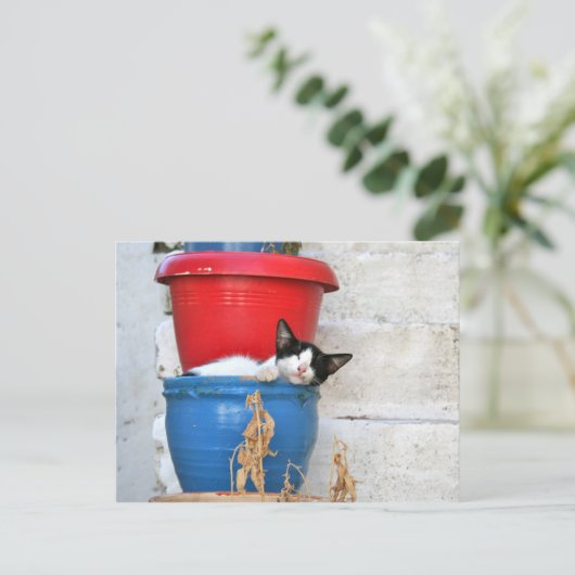 Fiscardo, Kefalonia Briefkaart (Staand voorkant)