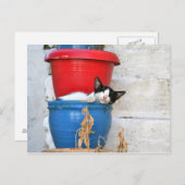 Fiscardo, Kefalonia Briefkaart (Voorkant / Achterkant)