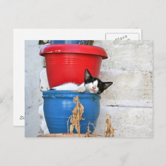 Fiscardo, Kefalonia Briefkaart (Voorkant / Achterkant)