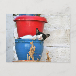 Fiscardo, Kefalonia Briefkaart