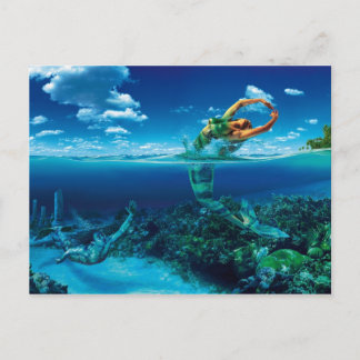 Fische - Postkarte Briefkaart