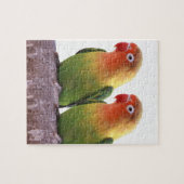 "Fischer's Lovebird"の 製 品 Legpuzzel (Horizontaal)