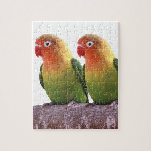"Fischer's Lovebird"の 製 品 Legpuzzel (Verticaal)