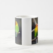 “Fischer's Lovebird” Koffiemok (Center)