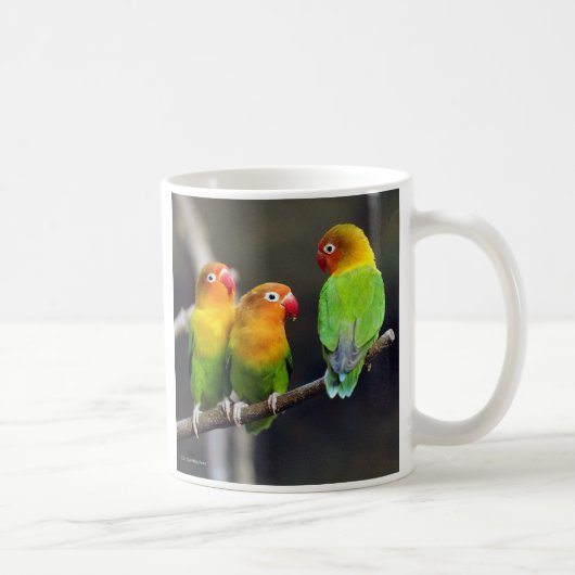 “Fischer's Lovebird” Koffiemok (Rechts)