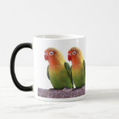 Fischer's Lovebird Magische Mok (Links)