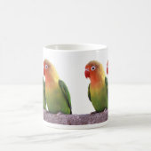 Fischer's Lovebird Magische Mok (Center)