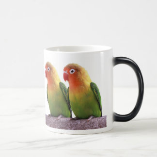 Fischer's Lovebird Magische Mok