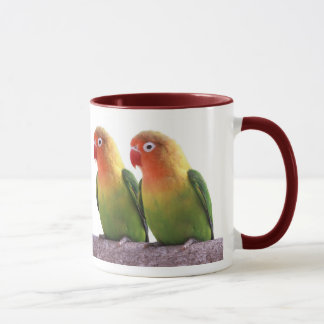 Fischer's Lovebird Mok