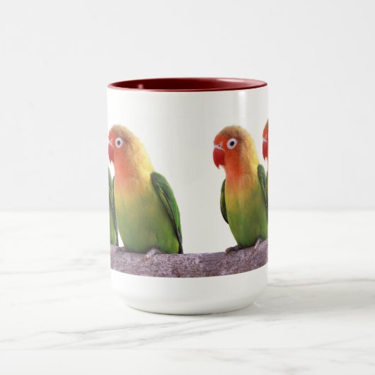 Fischer's Lovebird Mok (Midden)