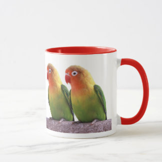 Fischer's Lovebird Mok