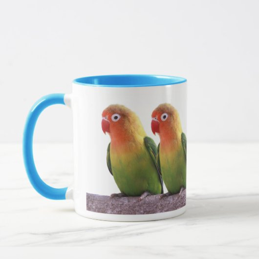 Fischer's Lovebird Mok (Links)
