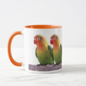 Fischer's Lovebird Mok (Links)