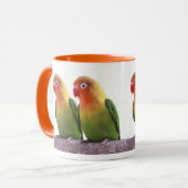 Fischer's Lovebird Mok (Voorkant links)