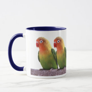 Fischer's Lovebird Mok