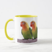 Fischer's Lovebird Mok (Links)