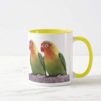 Fischer's Lovebird Mok