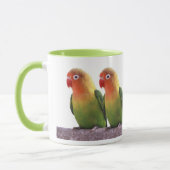 Fischer's Lovebird Mok (Links)