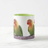 Fischer's Lovebird Mok (Midden)