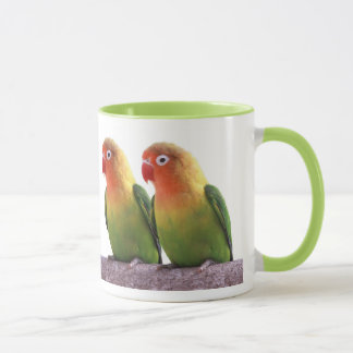 Fischer's Lovebird Mok
