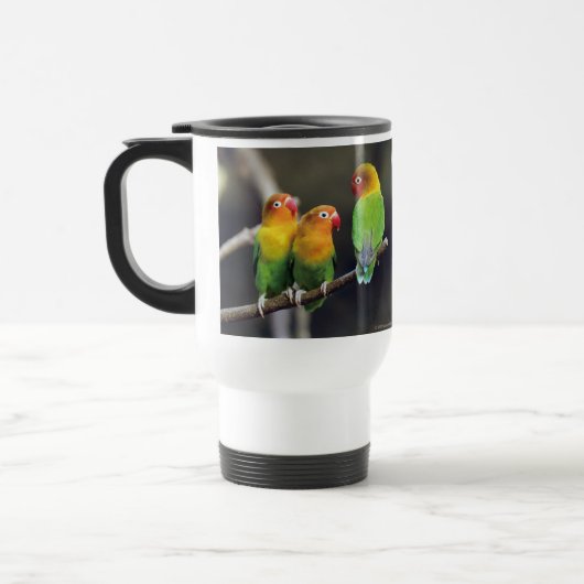 Fischer's Lovebird Reisbeker (Links)