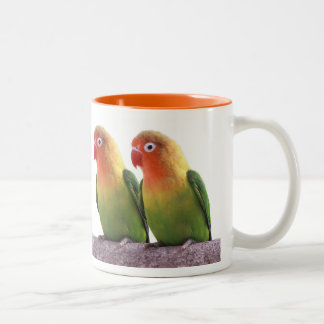 Fischer's Lovebird Tweekleurige Koffiemok