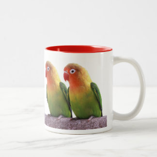 Fischer's Lovebird Tweekleurige Koffiemok