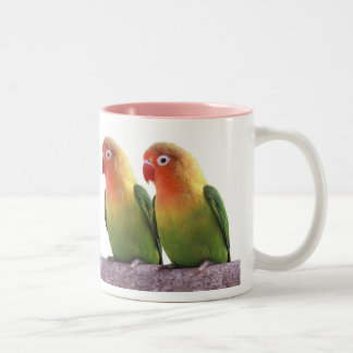 Fischer's Lovebird Tweekleurige Koffiemok