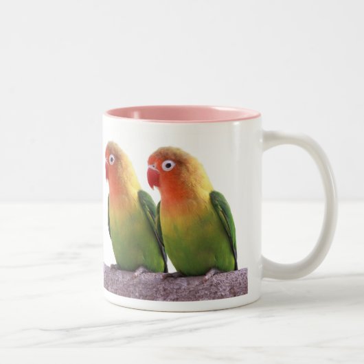 Fischer's Lovebird Tweekleurige Koffiemok (Rechts)