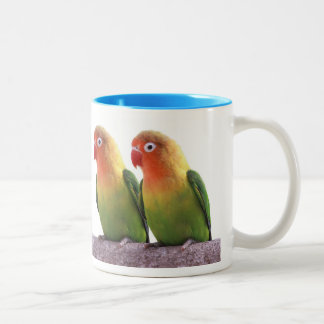 Fischer's Lovebird Tweekleurige Koffiemok