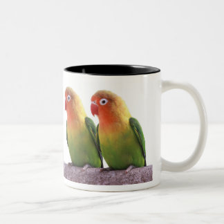 Fischer's Lovebird Tweekleurige Koffiemok