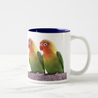 Fischer's Lovebird Tweekleurige Koffiemok