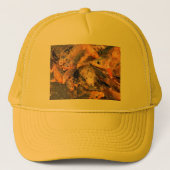 FISH BARRET TRUCKER PET (Voorkant)