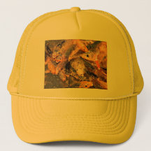 FISH BARRET