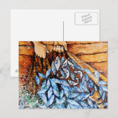 Fish Briefkaart (Voorkant / Achterkant)